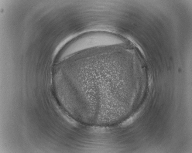 X0000082711069200702232250