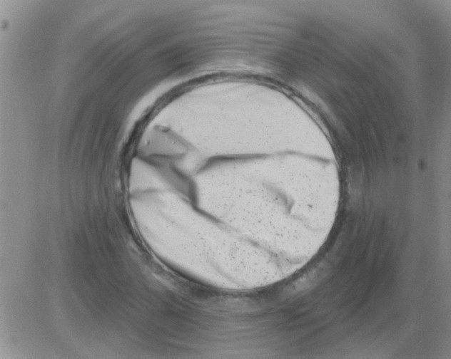 X0000082711070200702232250