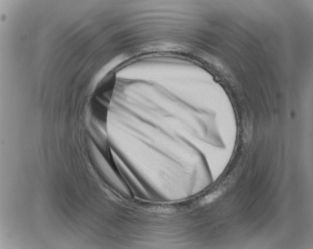 X0000082711073200702232250