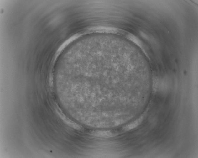 X0000082711074200702232250