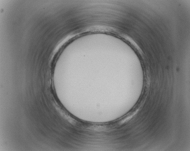 X0000082711075200702232250