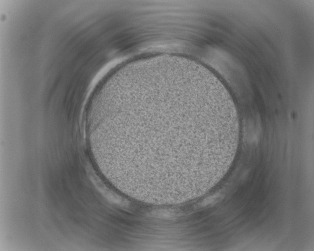 X0000082711078200702232250