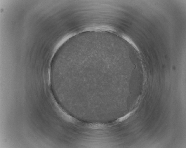 X0000082711079200702232250