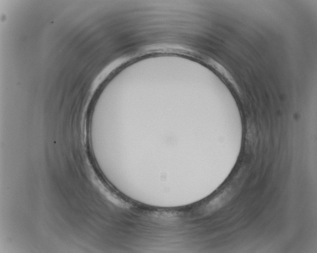 X0000082711082200702232250