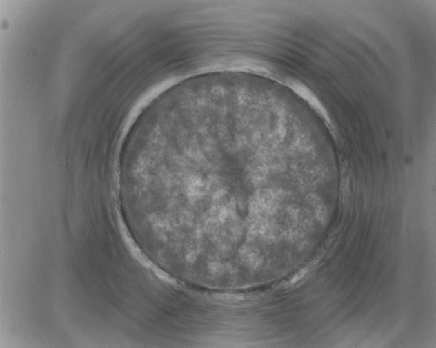 X0000082711088200702232250