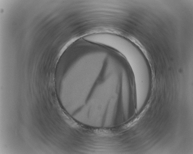 X0000082711089200702232250