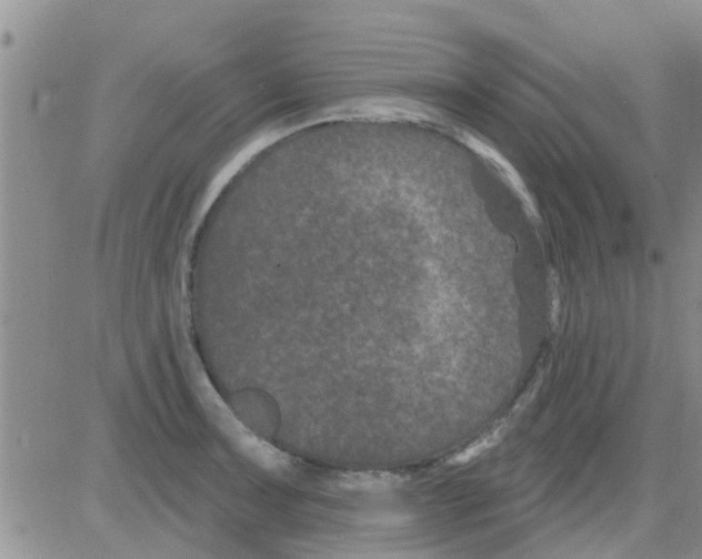 X0000082711091200702232250