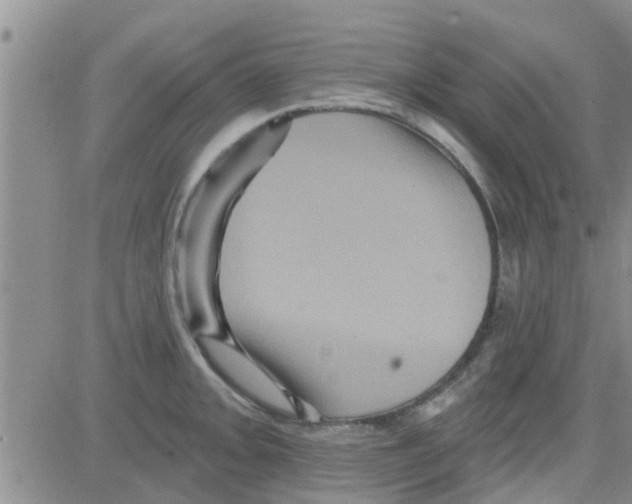 X0000082711093200702232250