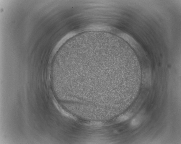 X0000082711094200702232249