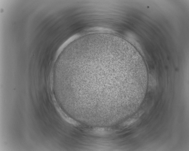 X0000082711098200702232249