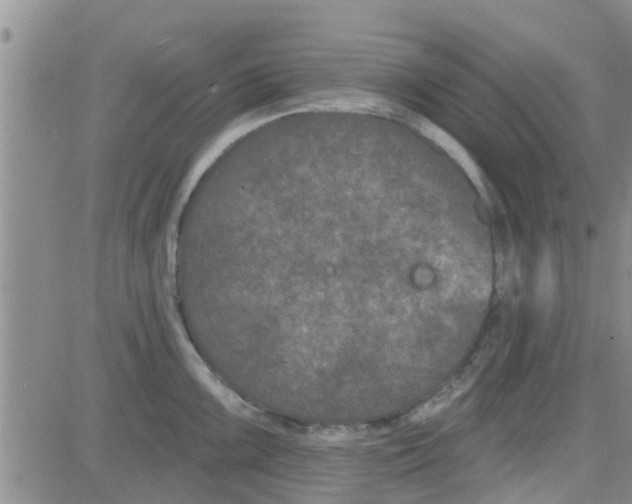 X0000082711099200702232249