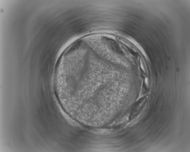 X0000082711101200702232249