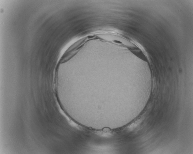 X0000082711103200702232249