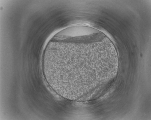 X0000082711104200702232249