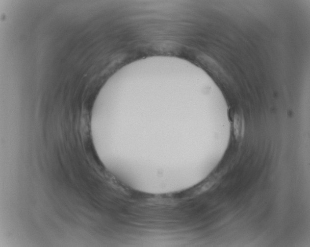 X0000082711107200702232249