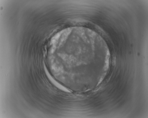 X0000082711108200702232249