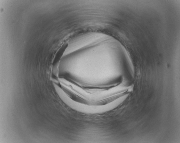 X0000082711109200702232249