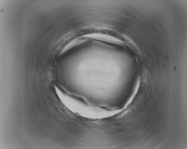 X0000082711110200702232249