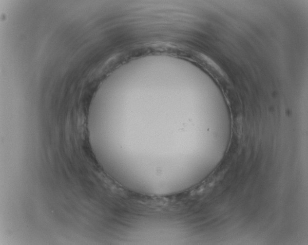 X0000082711111200702232249