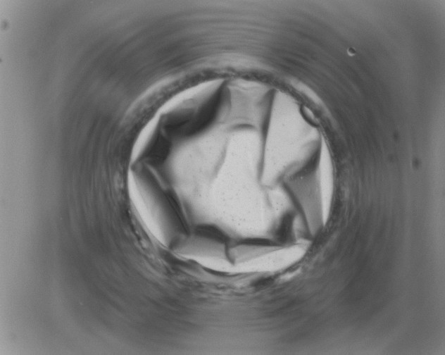 X0000082711112200702232249