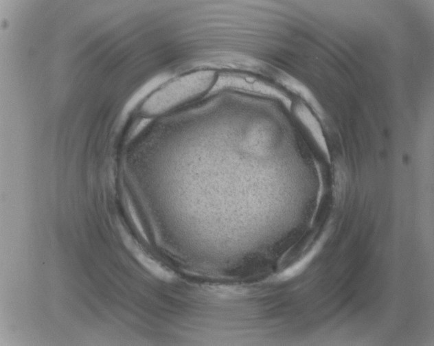 X0000082711114200702232249