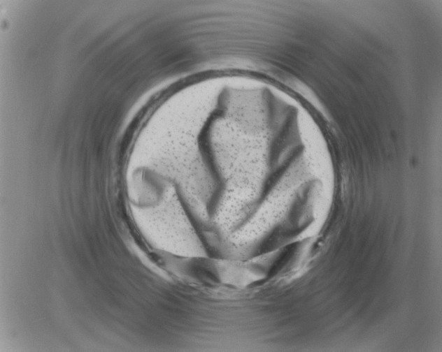 X0000082711116200702232249