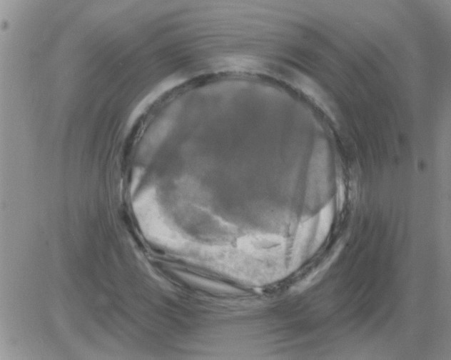 X0000082711117200702232249