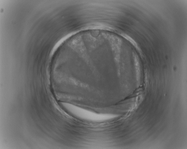 X0000082711120200702232249