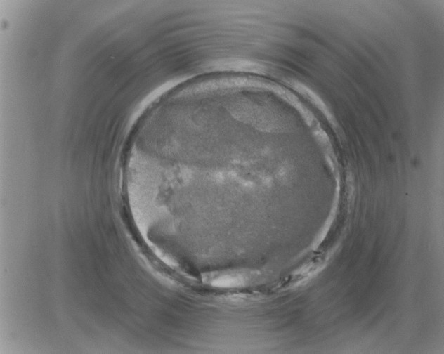 X0000082711125200702232249