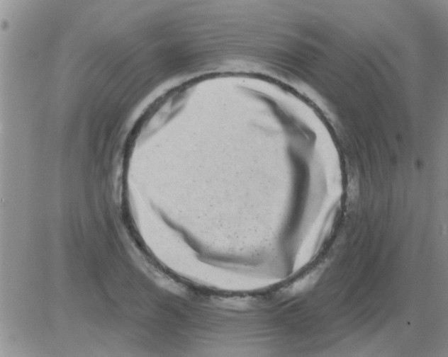 X0000082711126200702232249