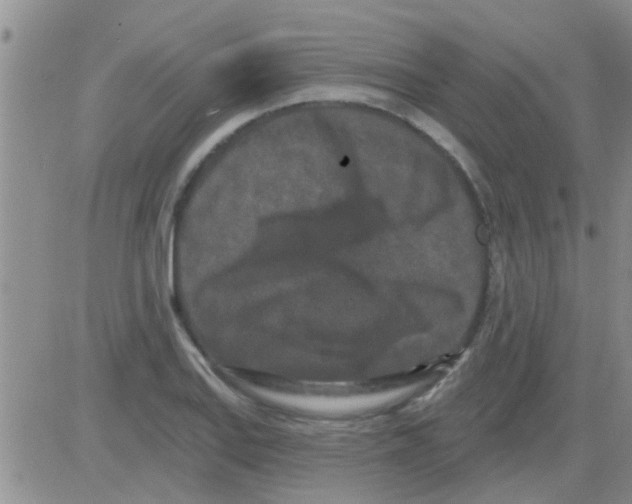 X0000082711127200702232249