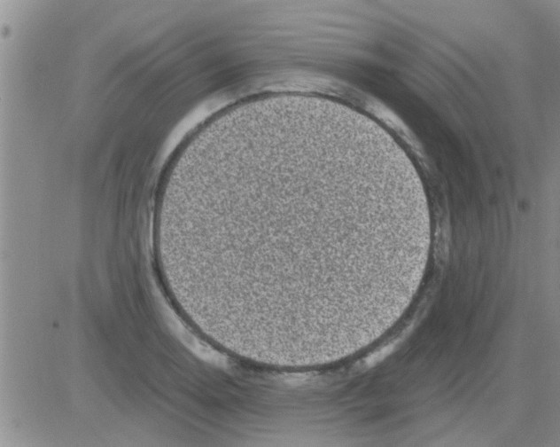 X0000082711130200702232249