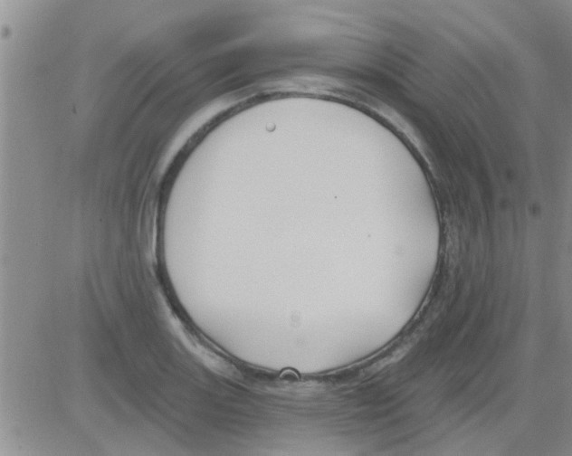 X0000082711131200702232249