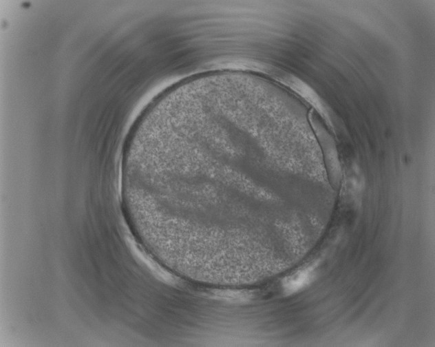 X0000082711132200702232249