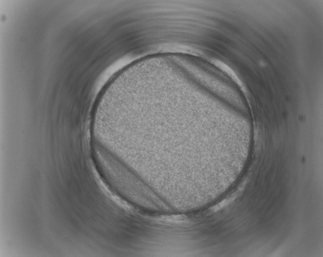 X0000082711133200702232249