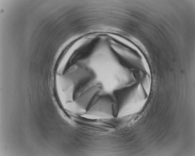 X0000082711136200702232249