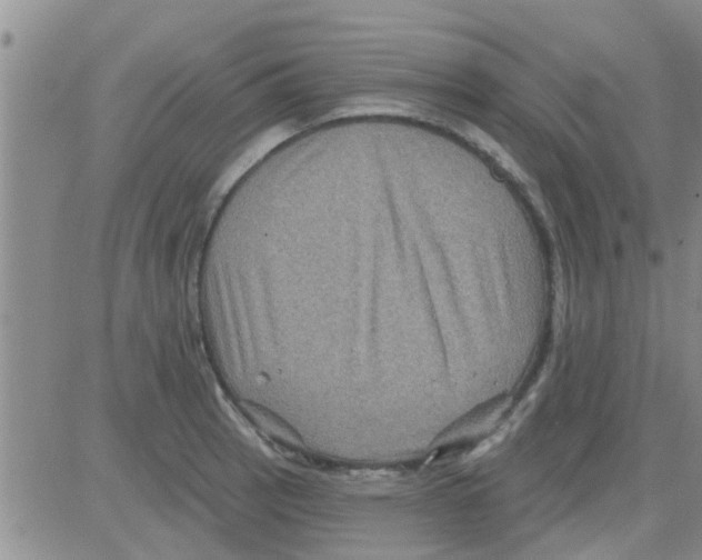 X0000082711137200702232249