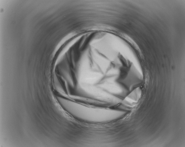 X0000082711138200702232249