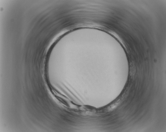 X0000082711139200702232249