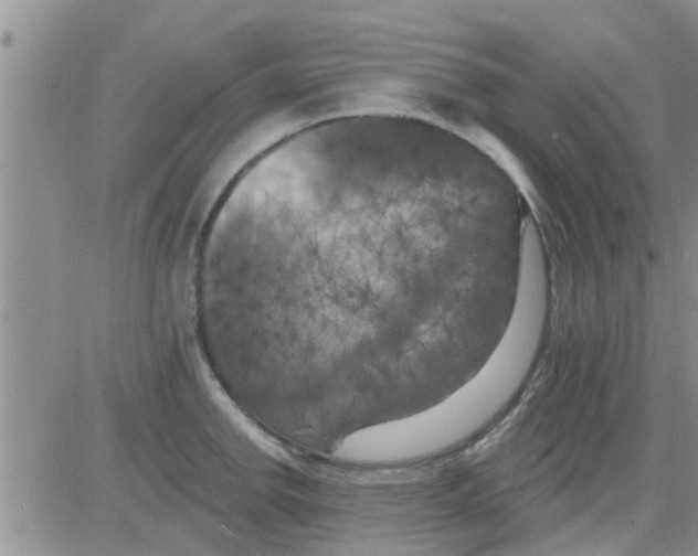 X0000082711142200702232249