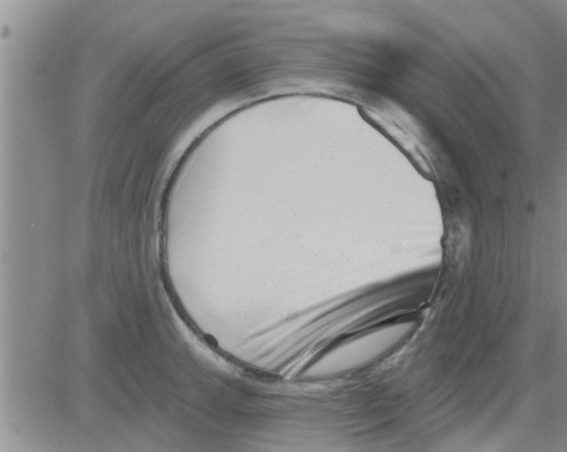 X0000082711143200702232249