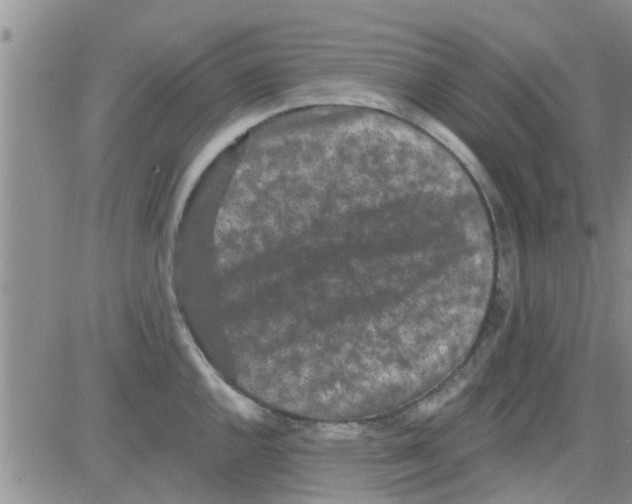 X0000082711144200702232249