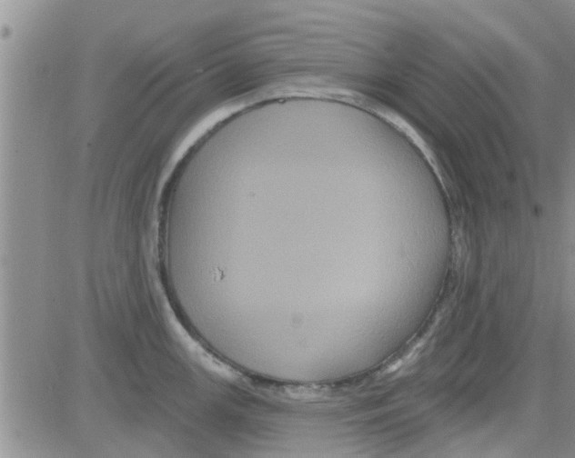 X0000082711147200702232249