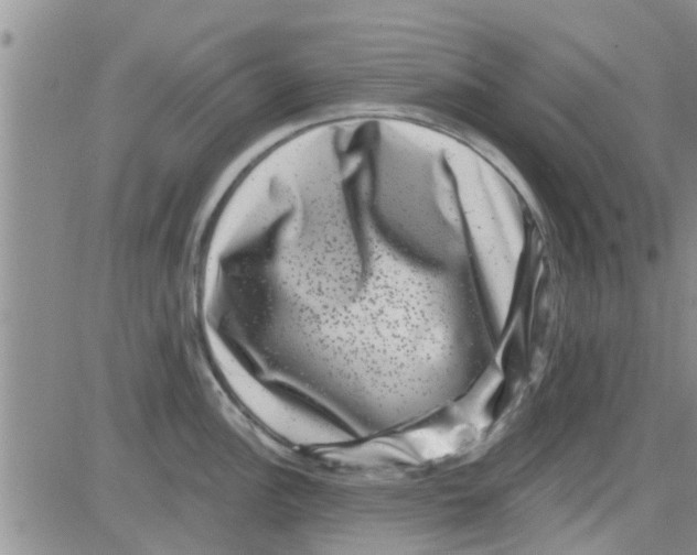 X0000082711148200702232249