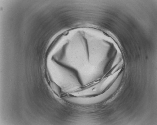 X0000082711149200702232249