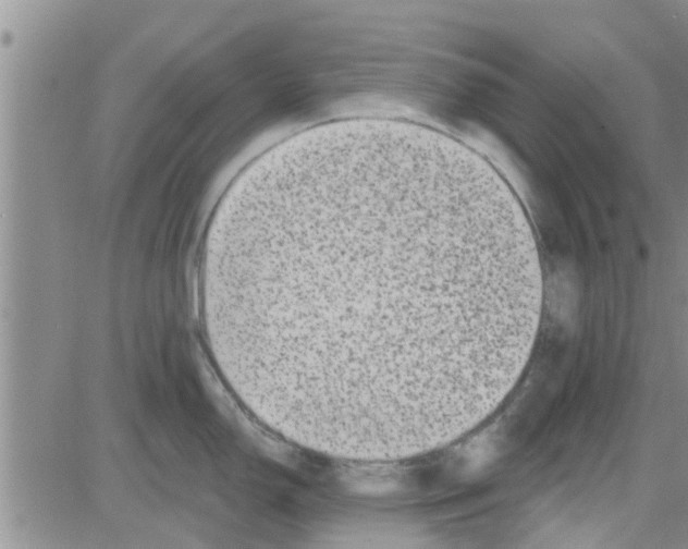 X0000082711150200702232249