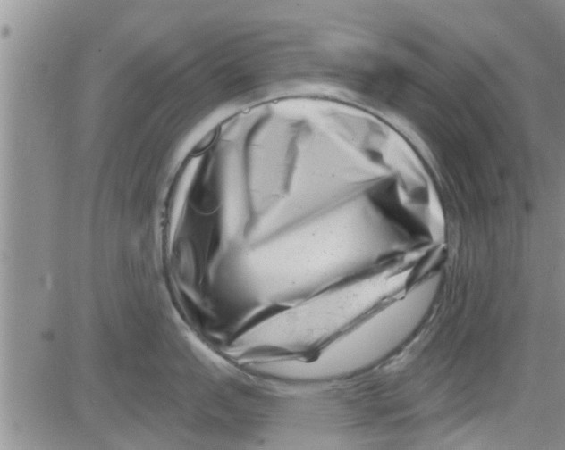 X0000082711151200702232249