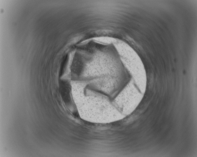 X0000082711153200702232249