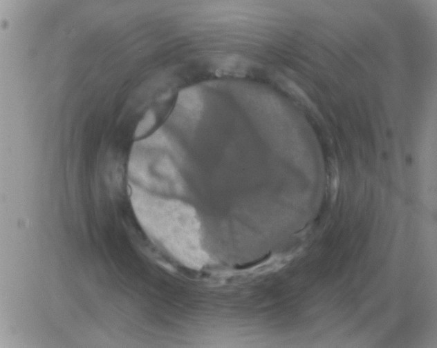 X0000082711154200702232248