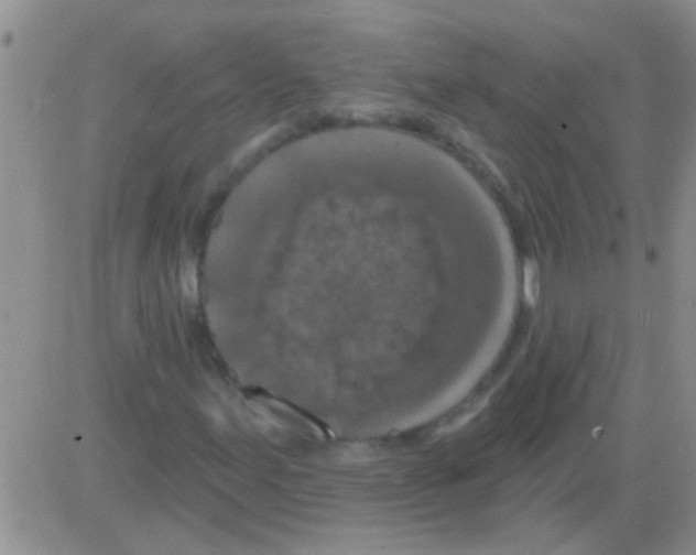 X0000082711155200702232248